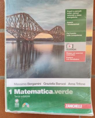 Matematica verde 1 - 9788808529701