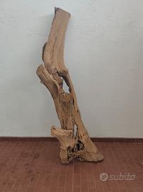 tronco in olivo