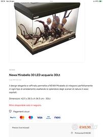 Acquario