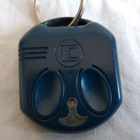 telecomando per cancello