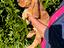 Immagine 3
