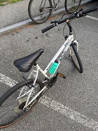 Bicicletta da donna per adulti