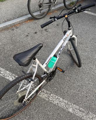 Bicicletta da donna per adulti