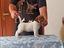 Immagine 5