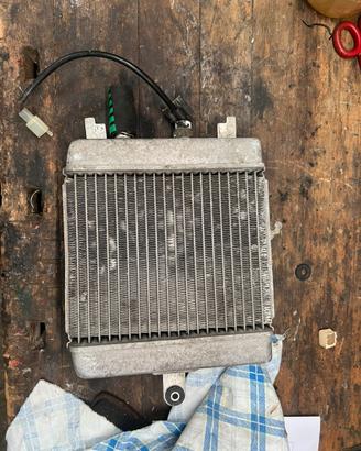 Radiatore Acqua Raffreddamento Scooter