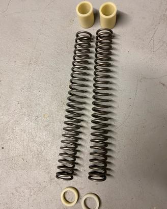 Molle forcella ktm 890 duke r