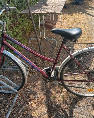 Bicicletta