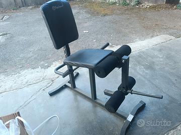 leg extension