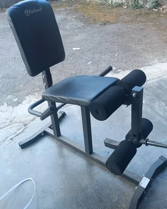 leg extension
