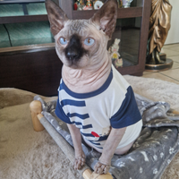 Sphynx per monta