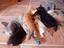 Immagine 1