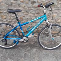 Bici  telaio basso