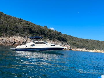 Semicabinato Regal 21.5