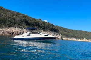 Semicabinato Regal 21.5