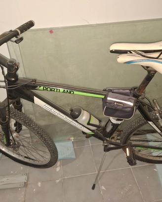 Bicicletta mountain bike