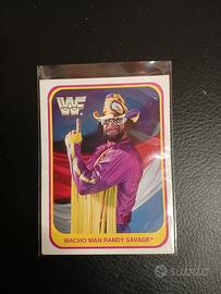 cards wwf  macho man 