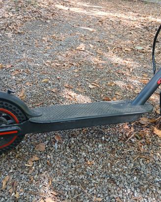 monopattino ninebot 