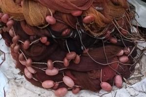 Rete da pesca cianciolo