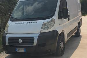 fiat ducato anno 2008  120 multijet