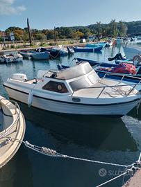  motoscafo con motore evinrude etec