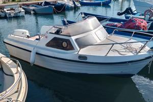 motoscafo con motore evinrude etec
