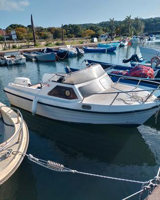  motoscafo con motore evinrude etec