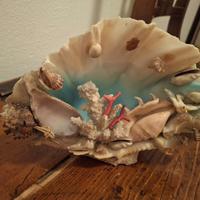 grande e bella conchiglia con coralli