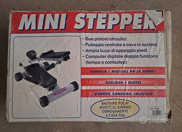 Mini Stepper
