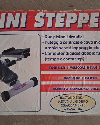 Mini Stepper