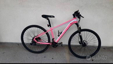 Mountain bike assemblata