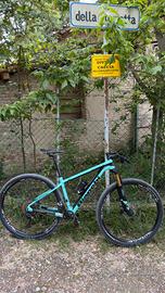 Mtb bianchi methanol 9.1