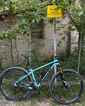 Mtb bianchi methanol 9.1