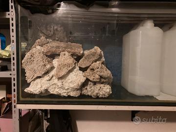 Vasca per acquario o rettilario