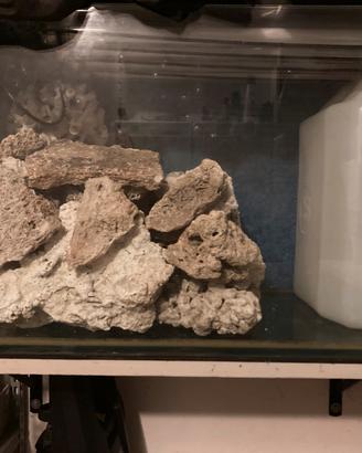 Vasca per acquario o rettilario