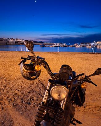 Harley davidson sporster 1200