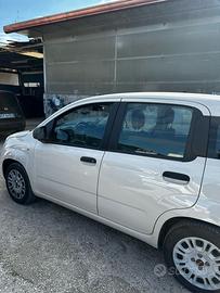 PANDA 1.2 BENZ+GPL 2017