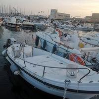 gozzo in condivisione con 10 cavalli a Fiumicino 