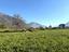 Immagine 26
