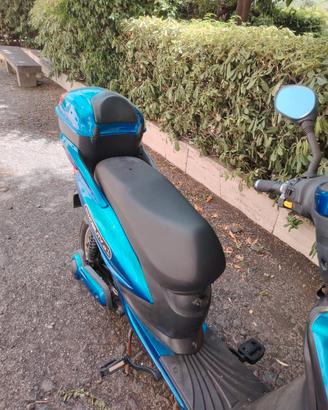 Bici elettrica/scooter elettrico