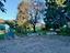 Immagine 21