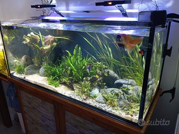 ACQUARIO 500 LITRI