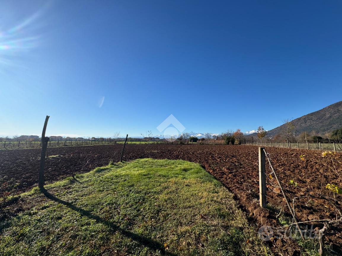 TER. AGRICOLO A PIOSSASCO - Vista 4