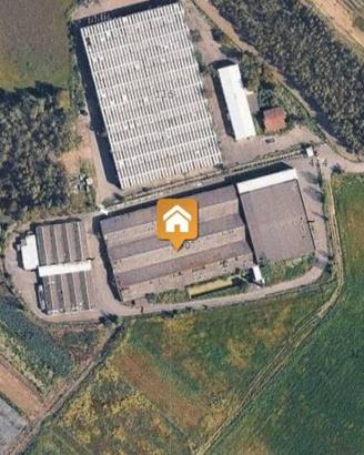 Immobile in asta di 1000 m² a Decimoputzu