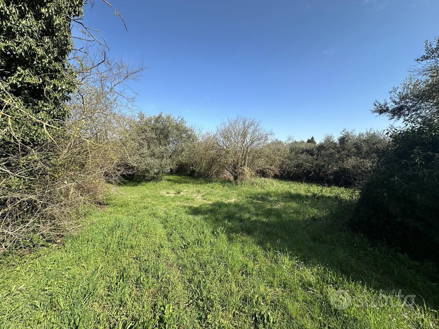 Terreno Agricolo Castel Sant'Elia - Vista 2
