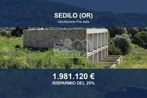 Immobile in asta di 78608 m² a Sedilo
