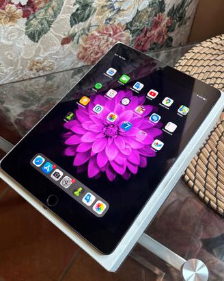 iPad Air 2 16 GB
