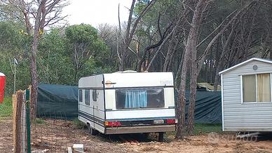 Roulotte doppio asse targata