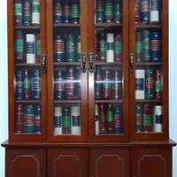 60 CAPOLAVORI IN MINIATURA CON LIBRERIA