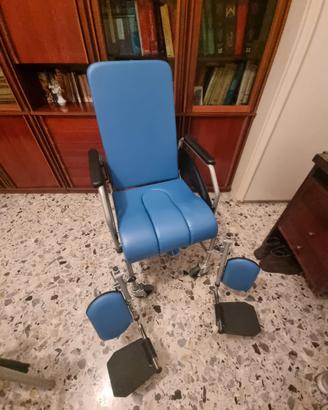 Sedia a rotelle per disabili