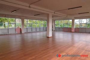 Negozio Anagni [Cod. rif 3144974ACG]